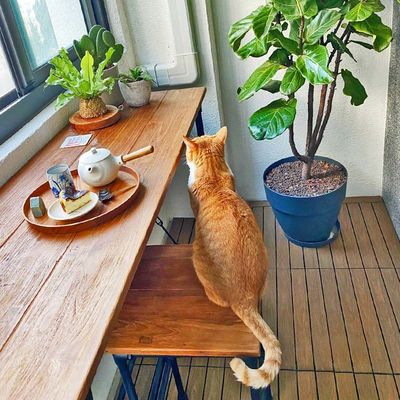 多様な木製デッキタイル 防水スクエア 屋外用
